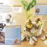 Eyewitness Explorer: Rock and Fossil Hunter - thumbnail of spread image 4 Thumbnail image of Eyewitness Explorer: Rock and Fossil Hunter - 4