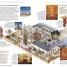 DK Eyewitness Travel Guide Arizona and the Grand Canyon - thumbnail of spread image 5 Thumbnail image of DK Eyewitness Travel Guide Arizona and the Grand Canyon - 5