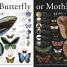 Everything You Need to Know About Bugs - thumbnail of spread image 4 Thumbnail image of Everything You Need to Know About Bugs - 4