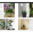 Orchids - thumbnail of spread image 4 Thumbnail image of Orchids - 4