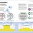 How Technology Works - thumbnail of spread image 8 Thumbnail image of How Technology Works - 8