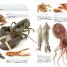 MasterChef Kitchen Bible - thumbnail of spread image 4 Thumbnail image of MasterChef Kitchen Bible - 4