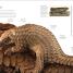 Zoology - thumbnail of spread image 5 Thumbnail image of Zoology - 5