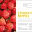Foods to Fight Cancer - thumbnail of spread image 3 Thumbnail image of Foods to Fight Cancer - 3