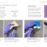 Express Housekeeping - thumbnail of spread image 3 Thumbnail image of Express Housekeeping - 3