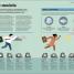 How Management Works - thumbnail of spread image 5 Thumbnail image of How Management Works - 5