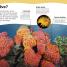 Did You Know? Animals - thumbnail of spread image 2 Thumbnail image of Did You Know? Animals - 2