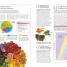 The Pregnancy Encyclopedia - thumbnail of spread image 4 Thumbnail image of The Pregnancy Encyclopedia - 4
