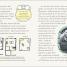 DK Life Stories Anne Frank - thumbnail of spread image 6 Thumbnail image of DK Life Stories Anne Frank - 6