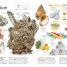The Periodic Table Book - thumbnail of spread image 2 Thumbnail image of The Periodic Table Book - 2