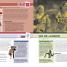 The Sports Book - thumbnail of spread image 4 Thumbnail image of The Sports Book - 4