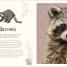 An Anthology of Intriguing Animals - thumbnail of spread image 7 Thumbnail image of An Anthology of Intriguing Animals - 7