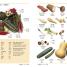 Hindi English Bilingual Visual Dictionary - thumbnail of spread image 4 Thumbnail image of Hindi English Bilingual Visual Dictionary - 4