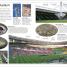 DK Eyewitness Books: Soccer - thumbnail of spread image 4 Thumbnail image of DK Eyewitness Books: Soccer - 4