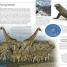 Endangered Animals - thumbnail of spread image 4 Thumbnail image of Endangered Animals - 4