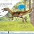 My Encyclopedia of Very Important Dinosaurs - thumbnail of spread image 6 Thumbnail image of My Encyclopedia of Very Important Dinosaurs - 6