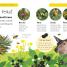 Forest Life and Woodland Creatures - thumbnail of spread image 2 Thumbnail image of Forest Life and Woodland Creatures - 2