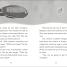 The Secret Explorers and the Comet Collision - thumbnail of spread image 6 Thumbnail image of The Secret Explorers and the Comet Collision - 6