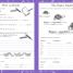 English Made Easy Ages 8-9 Key Stage 2 - thumbnail of spread image 4 Thumbnail image of English Made Easy Ages 8-9 Key Stage 2 - 4