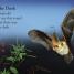 All About Bats - thumbnail of spread image 3 Thumbnail image of All About Bats - 3