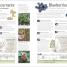 Biodynamic Gardening - thumbnail of spread image 3 Thumbnail image of Biodynamic Gardening - 3