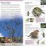 RSPB Pocket Birds - thumbnail of spread image 3 Thumbnail image of RSPB Pocket Birds - 3