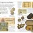DK Eyewitness Books: Money - thumbnail of spread image 3 Thumbnail image of DK Eyewitness Books: Money - 3