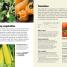 Allotment Month by Month - thumbnail of spread image 3 Thumbnail image of Allotment Month by Month - 3