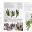 RHS Practical House Plant Book - thumbnail of spread image 5 Thumbnail image of RHS Practical House Plant Book - 5