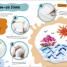 Super Slime - thumbnail of spread image 5 Thumbnail image of Super Slime - 5