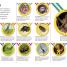 DKfindout! Bugs - thumbnail of spread image 4 Thumbnail image of DKfindout! Bugs - 4