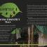 DK Adventures: Bug Hunters - thumbnail of spread image 4 Thumbnail image of DK Adventures: Bug Hunters - 4
