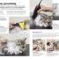 Complete Cat Care - thumbnail of spread image 3 Thumbnail image of Complete Cat Care - 3