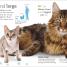 The Everything Book of Cats and Kittens - thumbnail of spread image 5 Thumbnail image of The Everything Book of Cats and Kittens - 5