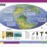 Knowledge Encyclopedia Dinosaur! - thumbnail of spread image 7 Thumbnail image of Knowledge Encyclopedia Dinosaur! - 7