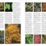 RHS A-Z Encyclopedia of Garden Plants 4th edition - thumbnail of spread image 4 Thumbnail image of RHS A-Z Encyclopedia of Garden Plants 4th edition - 4