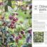 Incredible Edibles - thumbnail of spread image 8 Thumbnail image of Incredible Edibles - 8