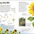 Flowers - thumbnail of spread image 3 Thumbnail image of Flowers - 3