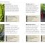 RHS Grow Fruit and Veg - thumbnail of spread image 4 Thumbnail image of RHS Grow Fruit and Veg - 4