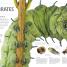 Explanatorium of Nature - thumbnail of spread image 4 Thumbnail image of Explanatorium of Nature - 4