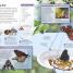 Eyewitness Explorer: Bug Hunter - thumbnail of spread image 3 Thumbnail image of Eyewitness Explorer: Bug Hunter - 3