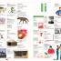 Children's Illustrated Dictionary - thumbnail of spread image 2 Thumbnail image of Children's Illustrated Dictionary - 2