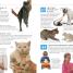 101 Essential Tips: Cat Care - thumbnail of spread image 4 Thumbnail image of 101 Essential Tips: Cat Care - 4