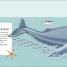 The Sea Book - thumbnail of spread image 6 Thumbnail image of The Sea Book - 6