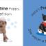 My Little Carry Book Puppies and Kittens - thumbnail of spread image 2 Thumbnail image of My Little Carry Book Puppies and Kittens - 2