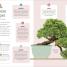 Happy Bonsai - thumbnail of spread image 3 Thumbnail image of Happy Bonsai - 3