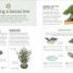 Happy Bonsai - thumbnail of spread image 6 Thumbnail image of Happy Bonsai - 6