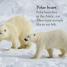 DK Readers L1 Frozen Worlds - thumbnail of spread image 3 Thumbnail image of DK Readers L1 Frozen Worlds - 3