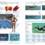 5 Language Visual Dictionary - thumbnail of spread image 4 Thumbnail image of 5 Language Visual Dictionary - 4