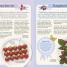 RHS Great British Village Show - thumbnail of spread image 8 Thumbnail image of RHS Great British Village Show - 8